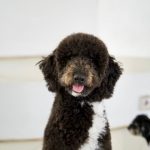 WhatsApp Image 2025-08-19 at 13.04.38_e60f8f4b